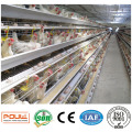 Maquinaria Ganadera Battery Layer Cage House 128 Birds